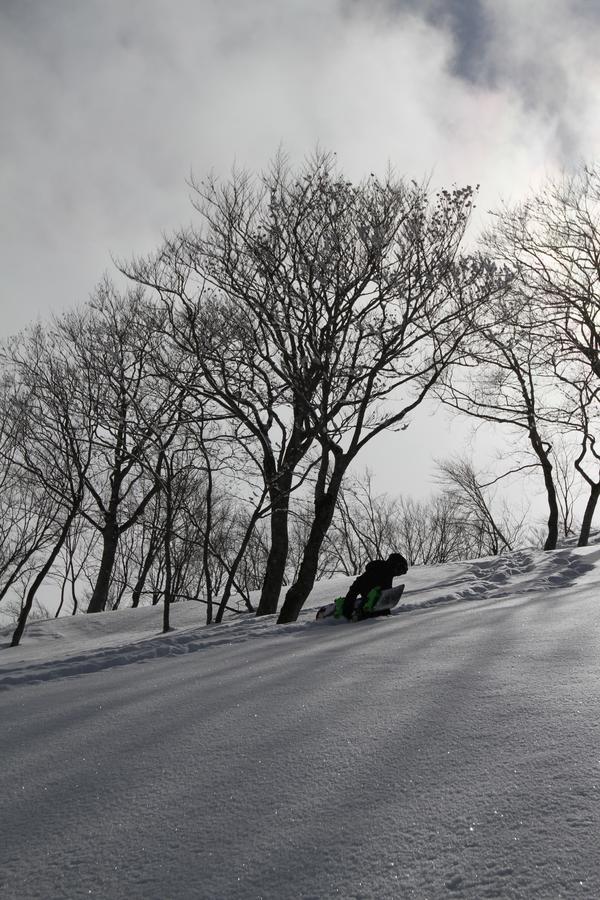 Powder Temple Hotel Hakuba Luaran gambar